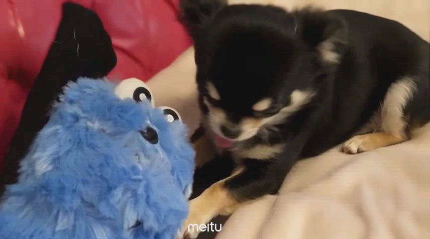 沙梨衣(さりぃ)